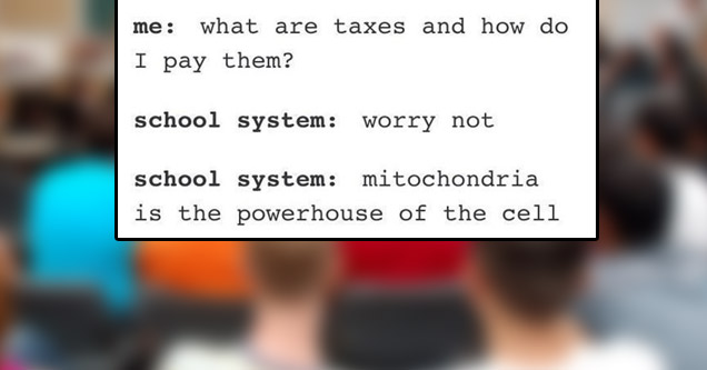 taxes-school-system-studyinng