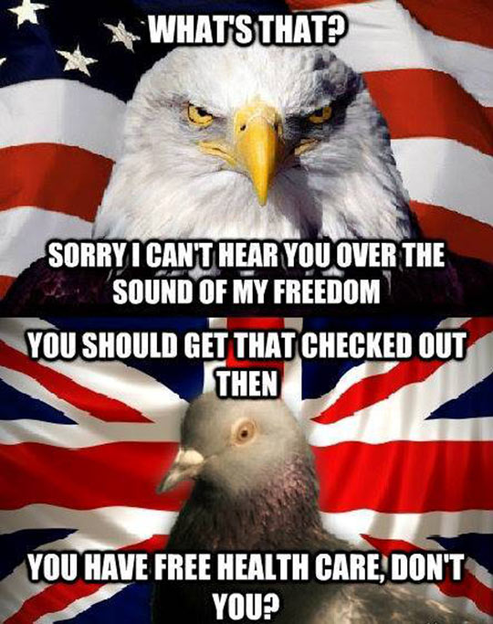 funny-eagle-America-UK-pigeon-quote