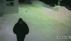 funny-gif-cat-running-snow-lost-friends