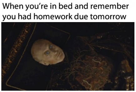 tyvin-lannister-bed-homework