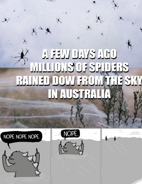 australia-spiders-sky-nope