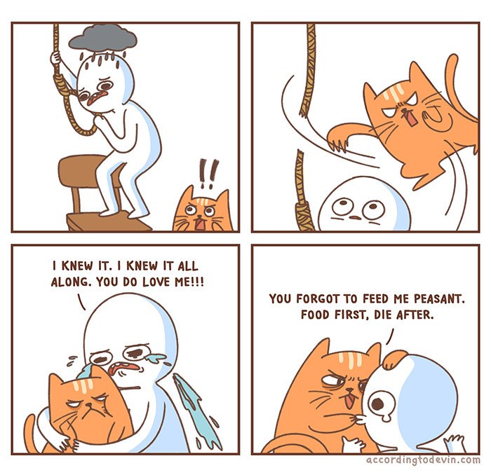 cat-comics-human-food