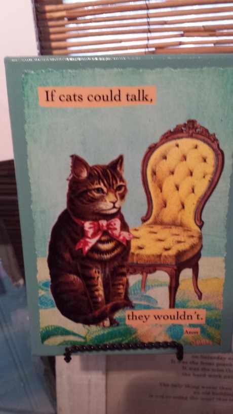 cats-talk-