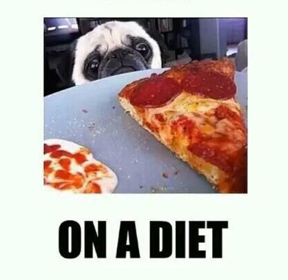 diet-pizza-pug