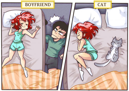 funny-boyfriend-cat-bed-floor