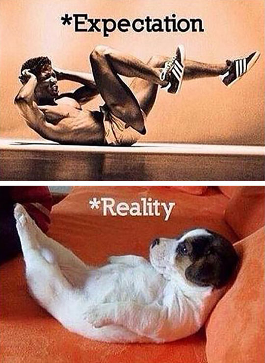 funny-man-working-out-dog
