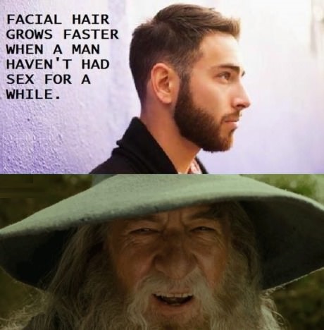 man-sex-beard-grow