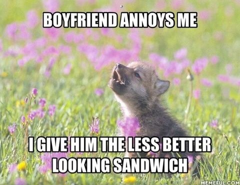 meme-girlfriend-sandwich