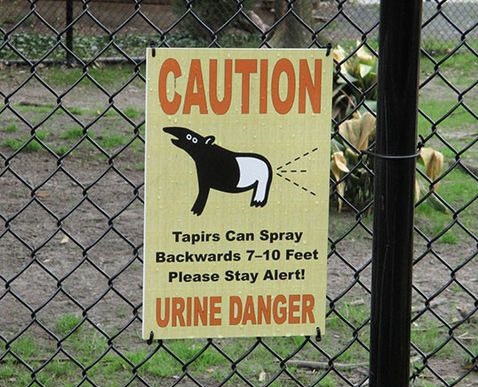sign-tapirs-urine-danger