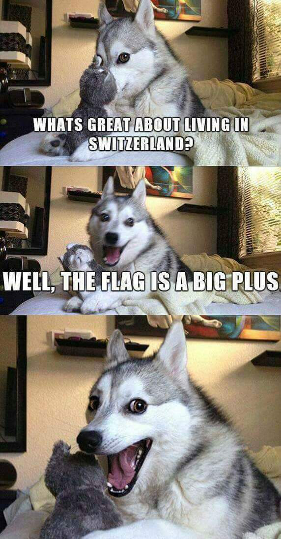switzerland-meme-husky-pun