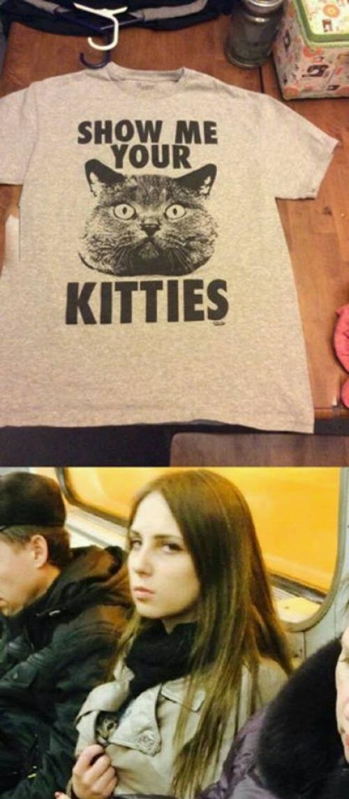 t-shirt-kitties-sign-cat