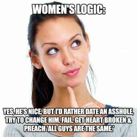 women-logic-men-nice-guy