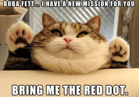 cat-fat-red-dot