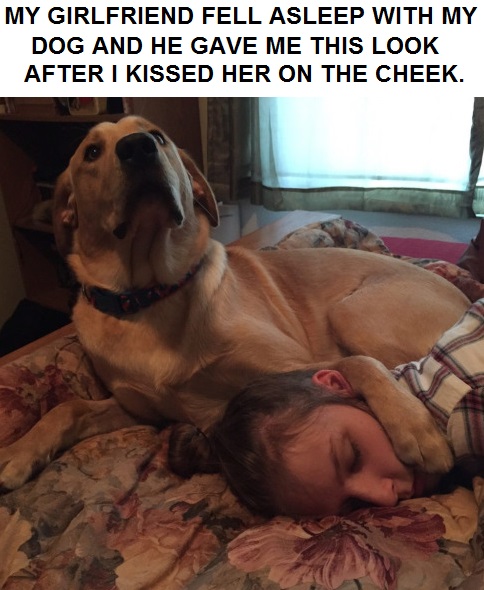 dog-girlfriend-kiss-sleep