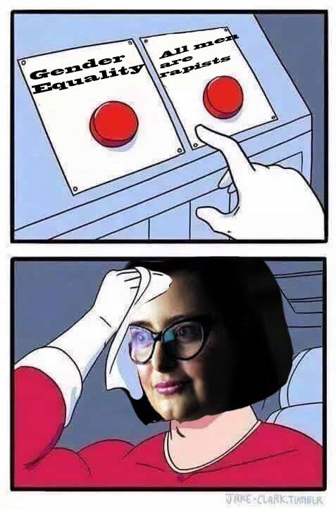 feminists-choice-every-day