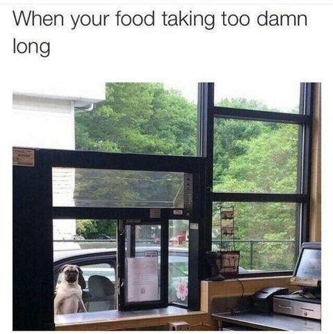 food-pug-too-long-waiting