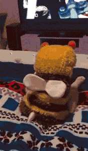 funny-gif-cat-disguised-bee