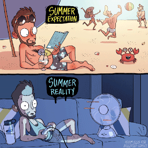 gif-summer-expectations-reality