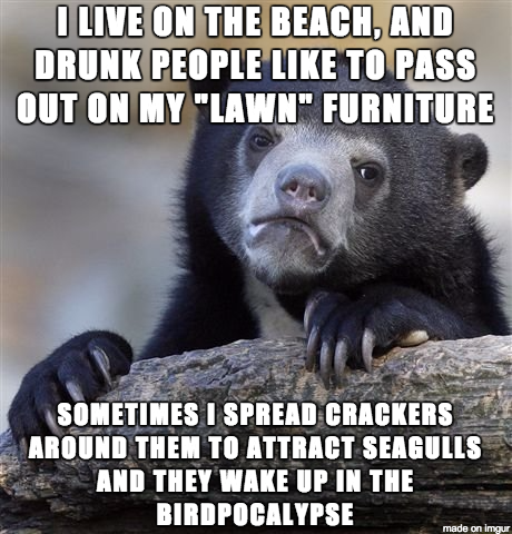 meme-confessions-bear-beach-lawn