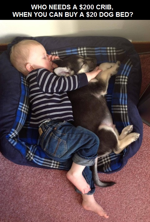 baby-dog-bed-crib