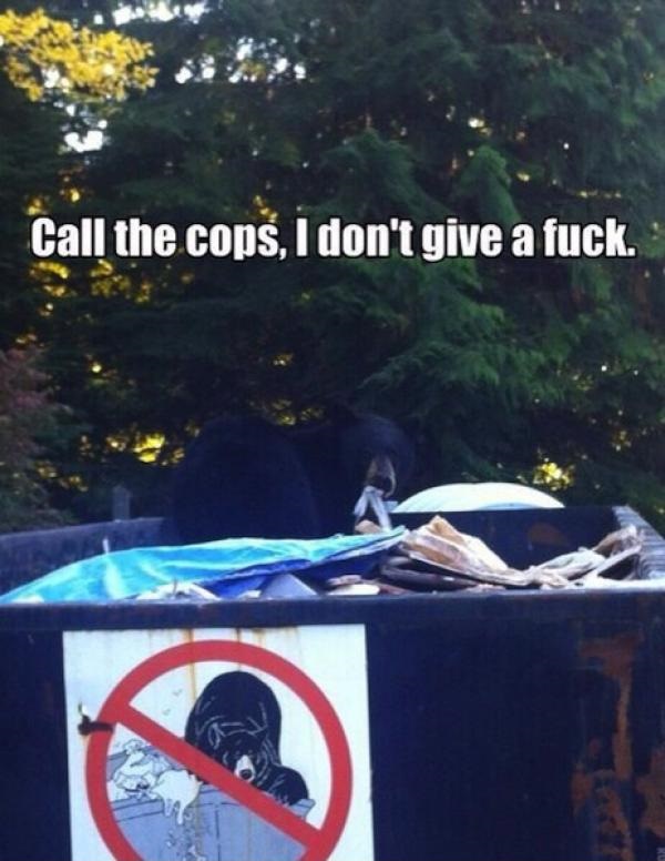 bear-sign-call-cops