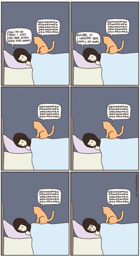 cat-comics-sleepnight
