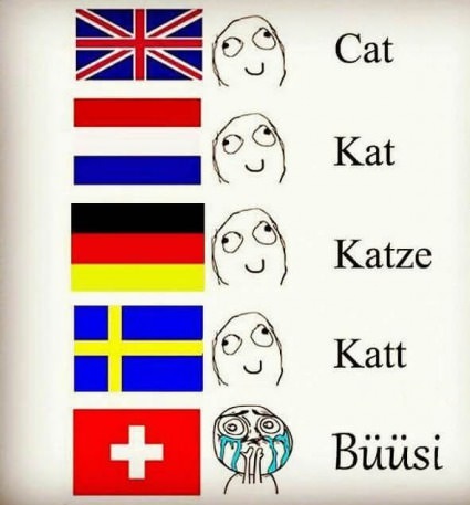 cat-different-languages