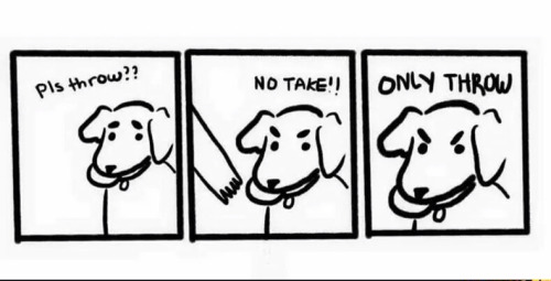 dogs-logic-comics
