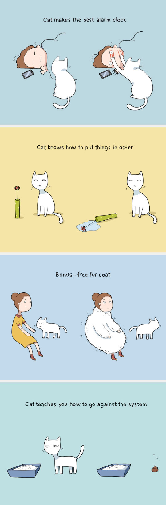funny-cat-teach-us-things-life