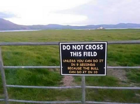 funny-sign-cross-field-seconds-bull