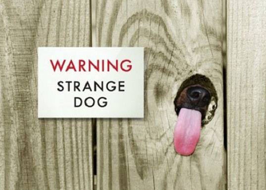 funny-sign-warning-strange-dog