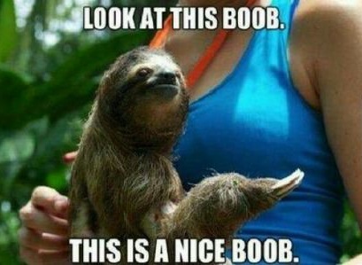 sloth-boob-nice