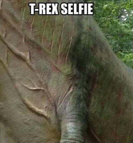 t-rex-selfie