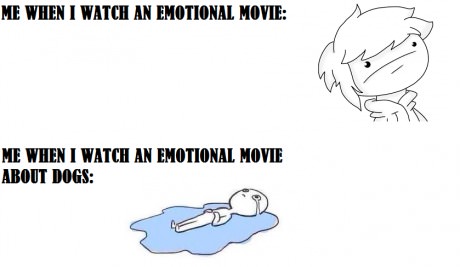 emotional-movie-about-dogs