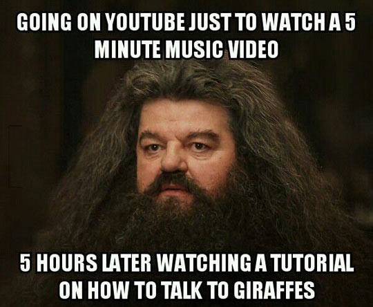funny-Hagrid-Harry-Potter-meme-Youtube