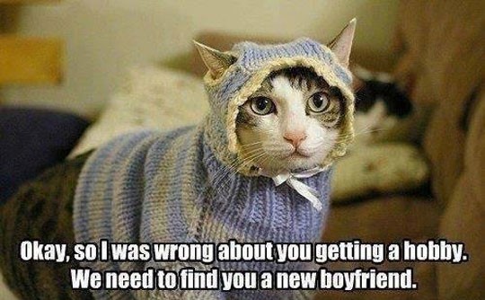 funny-cat-lady-knitting-suit-hobby