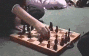 funny-gif-hamster-playing-chess
