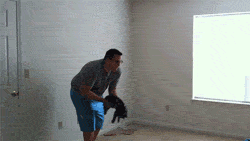 funny-gif-throw-cat-bed