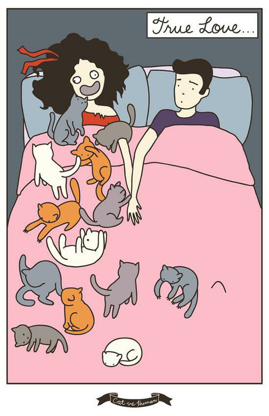 funny-girl-sleeping-cats-bed