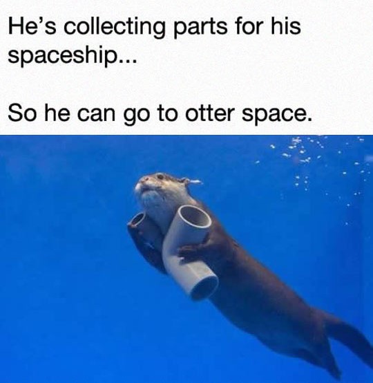 funny-otter-sea-parts-swimming