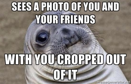 photo-seal-meme-friends-cropped