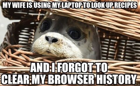 wife-seal-meme-browser-history