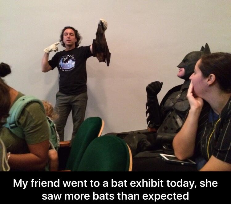 batman-exhibit-bat