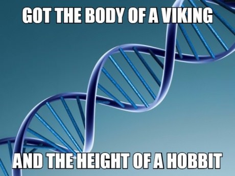 body-viking-genetics-meme
