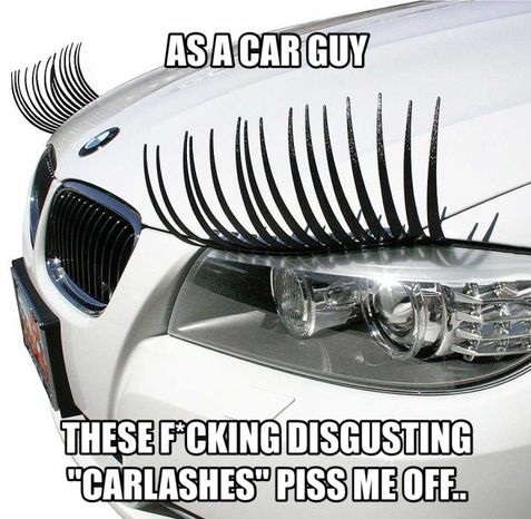 car-guy-carlashes-stupid