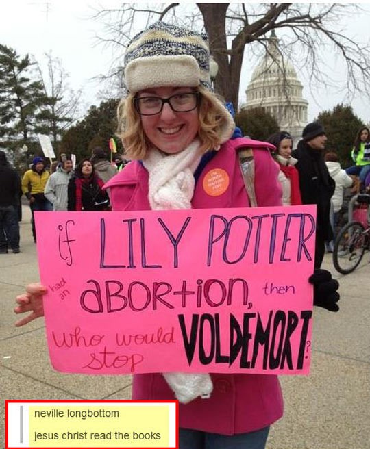 cool-Potter-protestor-sign-Voldemort