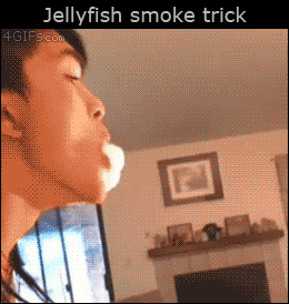 Smoke jellyfish