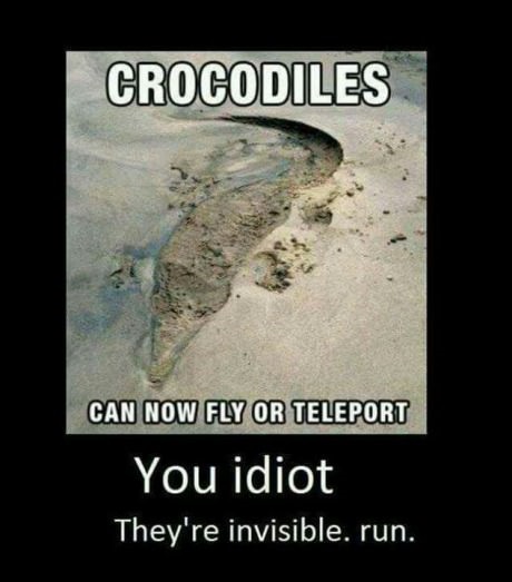 crocodile-invisible-run