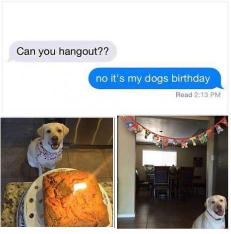 dog-birthday-party-text