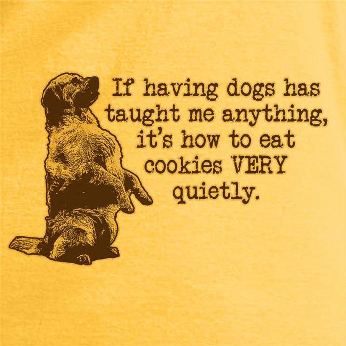 dogs-cookies-quietly